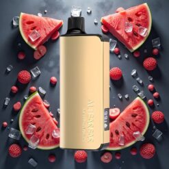 Alibarbar Ingot 9000 Puffs Engangsdamp Vannmelon Is 22ml 9000 Puff