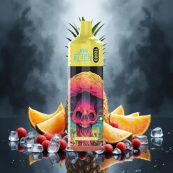 JNR Alien 10000 Puffs Engangsvaper Ananas Is 850mAh Type-C