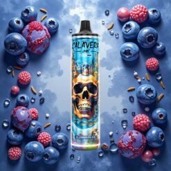 JNR Calavera 11000 Puffs Disposable Vape Blåbær Is med Type-C lading og 850 mAh batteri
