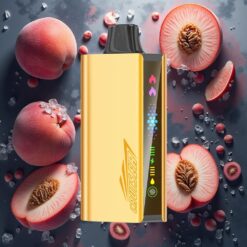 JNR Cruiser 12000 Puffs No-Charge Disposable Vape Fersken Is 3500 mAh Batteri