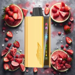 JNR Cruiser 12000 Puffs No-Charge Disposable Vape Jordbær Kokosnapp Vannmelon med 3500 mAh batteri og 25ml e-væske