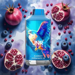 JNR Falcon 16000 Puffs Blåbær Granate Is 850 mAh