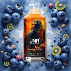 JNR Falcon X 18000 Puffs Disposable Vape Blåbær Kiwi 24ml & 750mAh