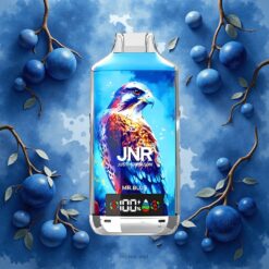 JNR Falcon X 18000 Puffs Disposable Vape Mr. Blå 24ml 750mAh