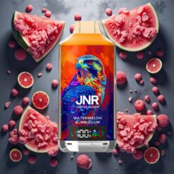 JNR Falcon X 18000 Puffs Engangs Vannmelon Bubblegum 24ml & Type-C Lading