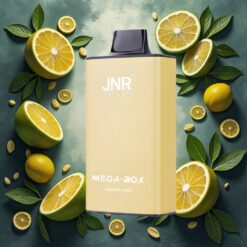 JNR Mega Box 25000 Puffs Disposable Vape Sitron & Lime 30ml E-liquid