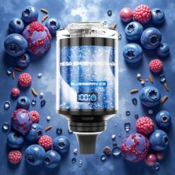 JNR Mega Shisha Hookah Desktop Kompatibilitet Blåbæris 60ml, 2200mAh