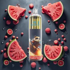 JNR Rocket-X 12400 Puffs Engangsdamp med Justerbar Luftstrøm og 850mAh Batteri - Vannmelon Tyggegummi