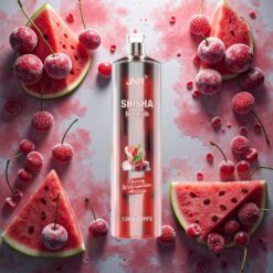 JNR Shisha Hookah 12000 Puffs Engangs E-sigarett Kirsebær Vannmelon Is 24ml/750mAh