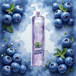 JNR Shisha Hookah 12000 Puffs Engangs Vape Blåbær Mynte 24ml & 750mAh