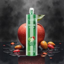 JNR Shisha Hookah 12000 Puffs Engangsdamp Dobbel Eple 24ml 750mAh