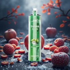 JNR Shisha Hookah 12000 Puffs Engangsdamper 24ml & 750mAh Frossen Eple