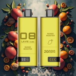 Lavie Cube 20000 Puffs Disposable Vape Mango Monster 28ML Type C