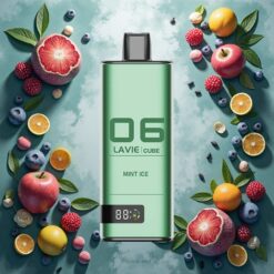 Lavie Cube 20000 Puffs Disposable Vape Mynteis 28ML