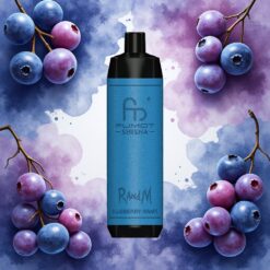 RandM Fumot Shisha 10000 Puffs Engangsdamp Blåbær Drue 18ml 850 mAh