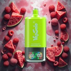 VapSolo Triple 30000 Puffs Disposable Vape Bringebær Vannmelon 40ml 20 mg/ml