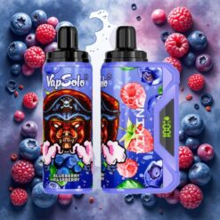 VapSolo VIKING 12000 Puffs Disposable Vape Blåbær Bringebær 22ml 20mg/ml