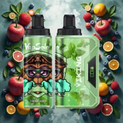 VapSolo VIKING 12000 Puffs Disposable Vape Frisk Mynte 22ml