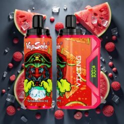 VapSolo VIKING 12000 Puffs Disposable Vape Vannmelon Is 22ml